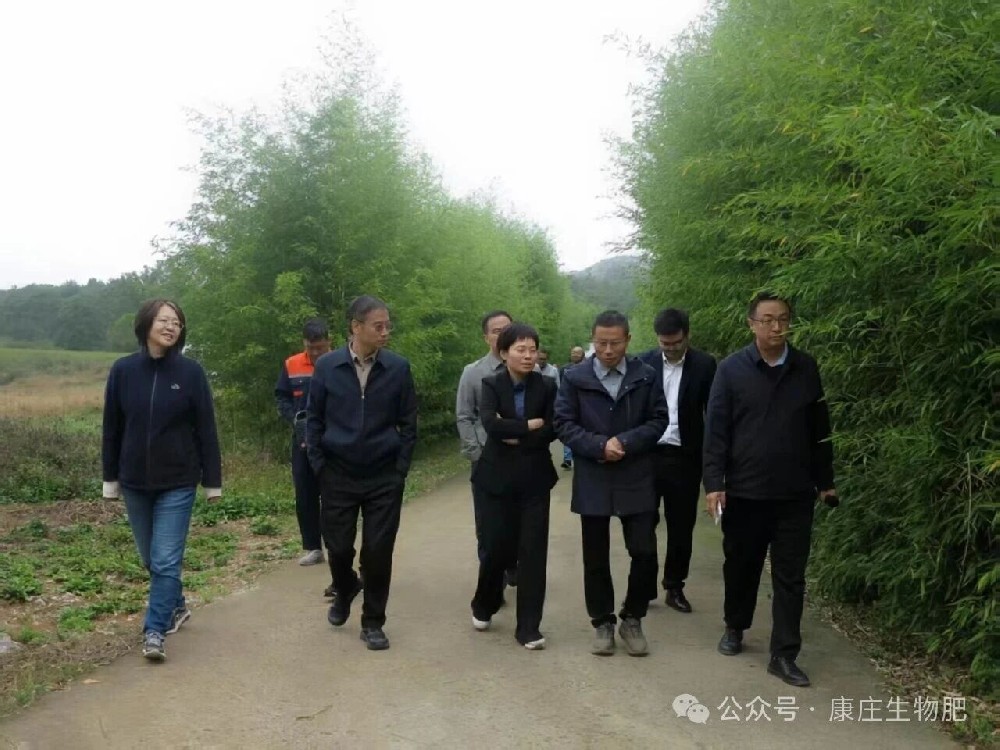 中安华力建设集团有限公司到曲靖康庄肥业有限公司考察调研 共商合作发展新机遇